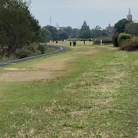 11/10 ハイレベルコ ース（長距離）④の画像