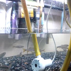 レイアウト素材を入手しました❗️①プロローグの画像