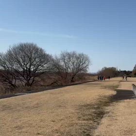 ハイレベルコース（長距離パート）①の画像