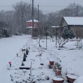 1週間ぶりの積雪の画像