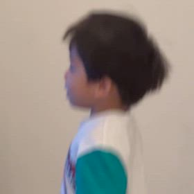 突然、増幅した動物愛の画像