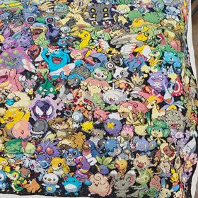 ポケモン　長い道のりの画像