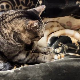 至福のひとときをもらった♡の画像