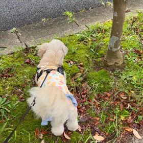 2024/07/01 危険がいっぱいの画像