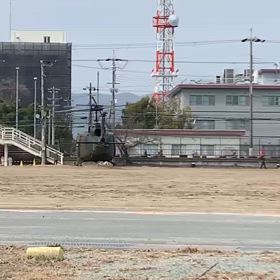 最近サボってたの画像