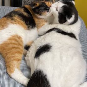 明日への力の画像