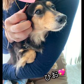 人慣れ練習になりました！の画像