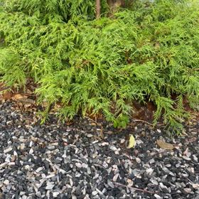 朝すっきり起きるの画像