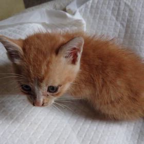 酷い話だの画像