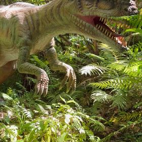 名護市　御菓子御殿の画像