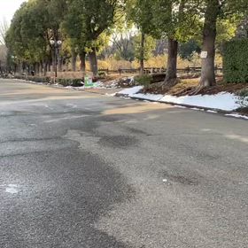 リレー選考会（女子）ゴール付近⑨の画像