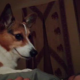 腰爆発❣️の画像