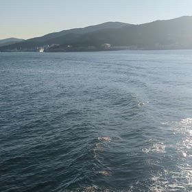 洗車日和の画像