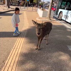 孫とデートの続き！の画像