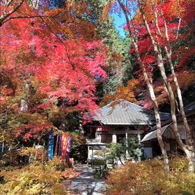 2024 今年もありがとうございました♡の画像