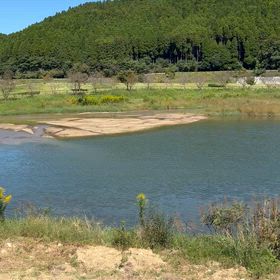 久しぶりのパークゴルフの画像