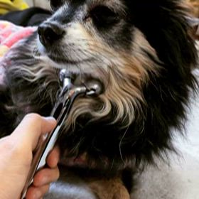 ねむねむの画像