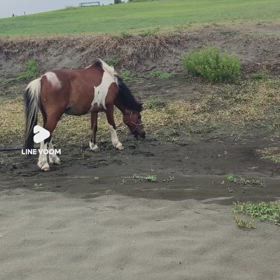 意外に空いてました！の画像
