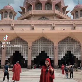 ピンクモスクの画像