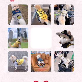 今年もよろしくお願い致しますの画像