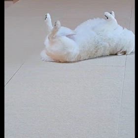 もしかして？の画像