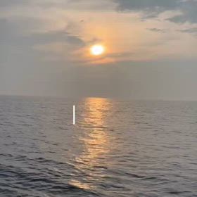 くっそ〜甘くねーな。自然。の画像