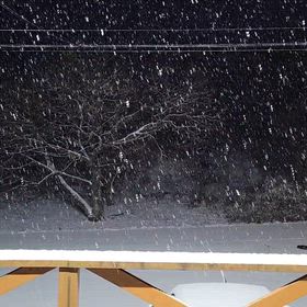 寒い朝～の画像