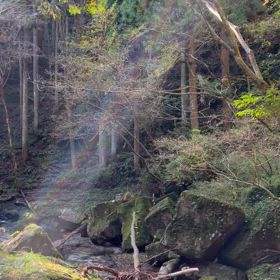 龍鎮さんから戻る時にの画像