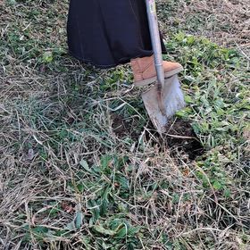 雑草メジナ釣りの餌掘りの画像