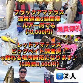 シーバス便の募集ですの画像