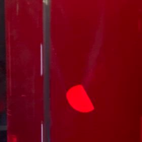 【IPS心筋細胞】　良い子のみんなも見てきたほうがいいですよ！の画像