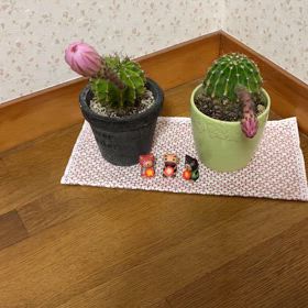 今年もありがとねの画像