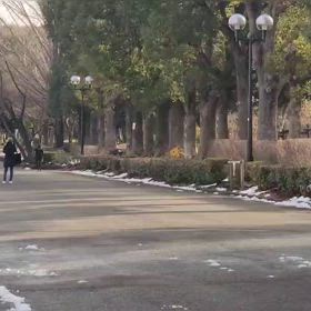 リレー選考会（男子）ゴール付近⑧の画像