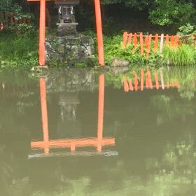 ””大神神社から、狭井神社、辰五郎様、八大龍王様 外伝とお願い⚠️の画像