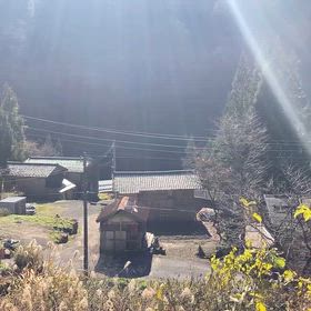 今年最後のpeaceful農園になるかなの画像