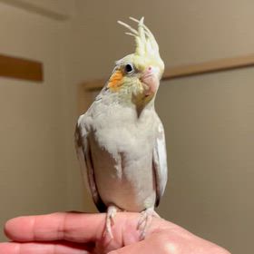 なれ具合に自信があります！！の画像