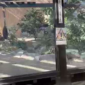 京都市動物園、最後の画像