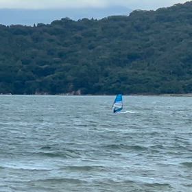 えー波やったの画像