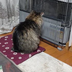 動かないの画像