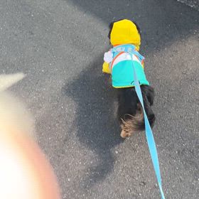 まめの足の様子②の画像