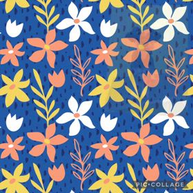 DOGXDOG こてつくんの画像