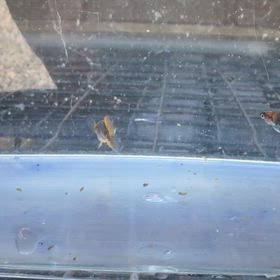 BASEに出品しました。の画像