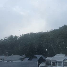 風花舞うの画像