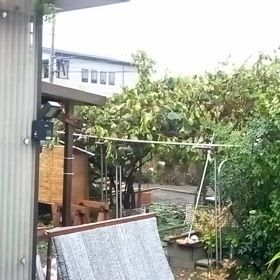 台風10号、通過中。の画像