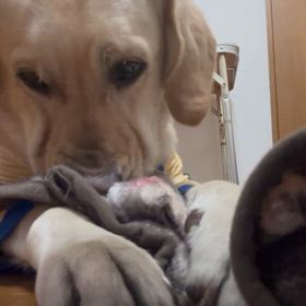 急がないでよの画像