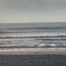 アリューシャンのうねり@マルキの画像