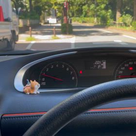 三連休中日✨️✨️の画像