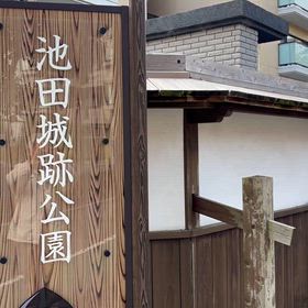 池田城跡に桜の花と紅葉が同時に見れました｡の画像