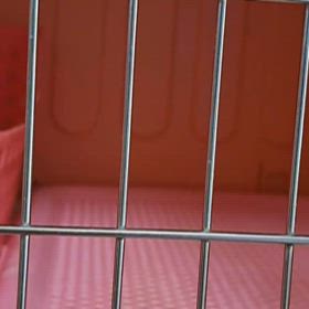 ご家族様募集ですの画像