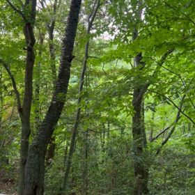 ひとりドライブの画像